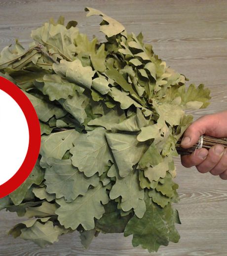 Правильный дубовый веник