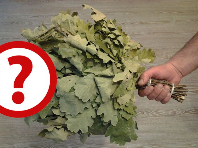 Правильный дубовый веник